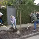 Kinderen groep 8 De Zaaier planten bomen