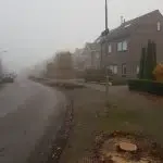 Alle bomen aan de Gaedsberghweg omgezaagd