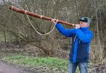 Midwinterhoornbloazen in Hattem