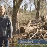 Wat ga je leren in de cursus biodiversiteit?