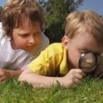 Ga met de boswachter mee op ontdekkingstocht naar de Dellen