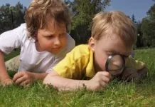 Ga met de boswachter mee op ontdekkingstocht naar de Dellen