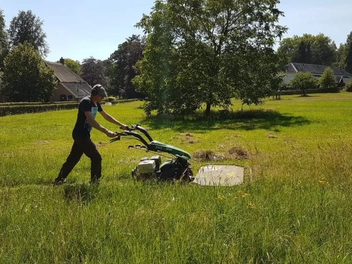 Sinusbeheer