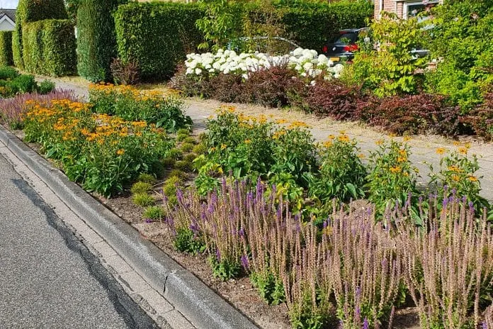 Gaedsbergweg bloemen