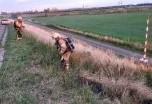 Brandweer vraagt hulp, zo voorkom je een natuurbrand
