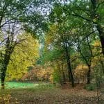 IVN excursie âKleurrijk Vilsterenâ
