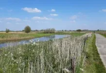 IVN Natuurtocht “Voorjaar in de IJssel-uiterwaarden bij Hattem”