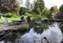 Video: Een kijkje bij beeldentuin en galerie de Schoppert