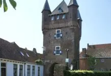 Kastanjebomen bij de Dijkpoort gekapt