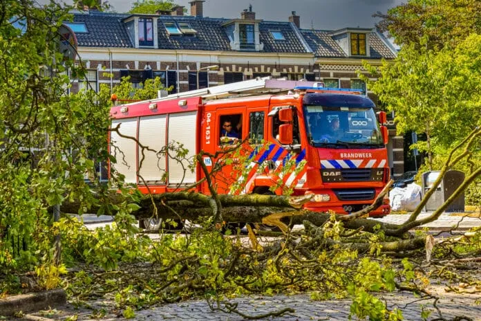 Archieffoto 2018. Zuiderkerstraat Zwolle. Foto : Peter Denekamp