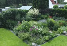 Video: Natuur in de regio en open tuinen dag 8 juli