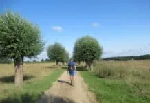 Wandel mee langs duizenden jaren landschapsgeschiedenis