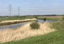 Hoenwaard onder de loep