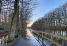 Hoge waterstand ‘Je hoort er klaar voor te staan’
