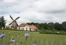 Groene vingers gezocht voor moestuin
