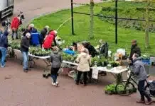 Geslaagde plantjesmarkt Groen Goud