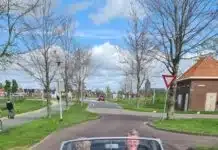 Lions laten klassiekers ronken en rijden