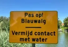Blauwalg in De Waa: vermijd contact met het water