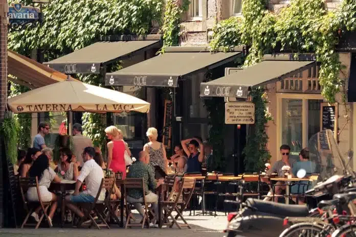 240829 terras