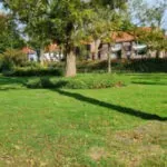Hattem Plukt! – Het plan van ‘het groene hart van Hattem’