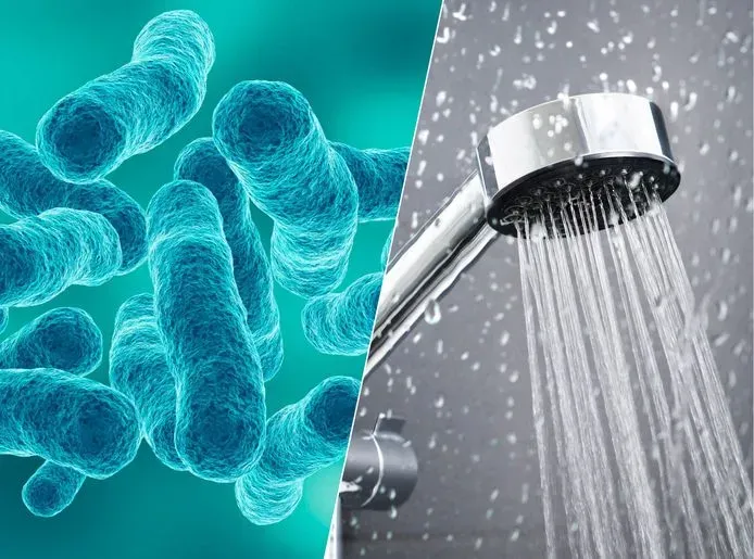 241113 legionella