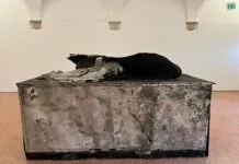 Trynke:  Mantelzorger-zijn betekent ook dat ik goed voor mezelf mag zorgen