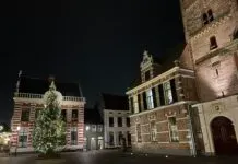 Hattem rond de kerstboom
