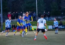 Hatto-Heim sluit 2024 af met nederlaag tegen Dieren