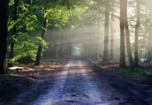 Green Deal wordt verlengd