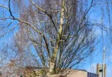 Vuurwerkschade in Hattem minder dan vorige jaarwisseling