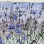 Heemkunde Hattem komt met nieuw kwartaalnummer