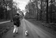 APV: vuurwerk, houtstook en hond aan banden?
