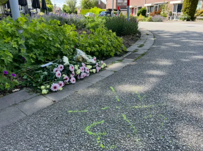 hessenweg vijzelpad bloemen