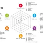‘Hoe gaat het écht met je?’ – week van de mentale gezondheid