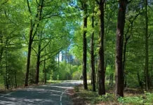 Hattem als centrum van de Noord-Veluwse ‘klimmetjes’