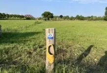Terugkijktip: Klaas op Klompen door Hattem