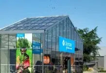 Vrijwilligers Dorcas Winkel Hattem in het zonnetje gezet