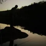 Nog even nachtrust voor de WAA-vissen