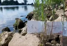 Excursie met IVN Zwolle e.o.: ‘Struin, kijk, schets en zie meer’