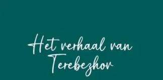 Nieuw boek Klaas de Jong: Het verhaal van Terebezhov