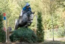 Nieuws in beeld – Molecaten Ruiterdag