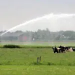 Groen licht voor onttrekken water uit beken en sloten – Waterschap heft verbod op