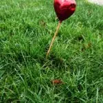 ‘Met de twaalf weken echo was alles nog goed’

 – Baby Loss Awareness Week