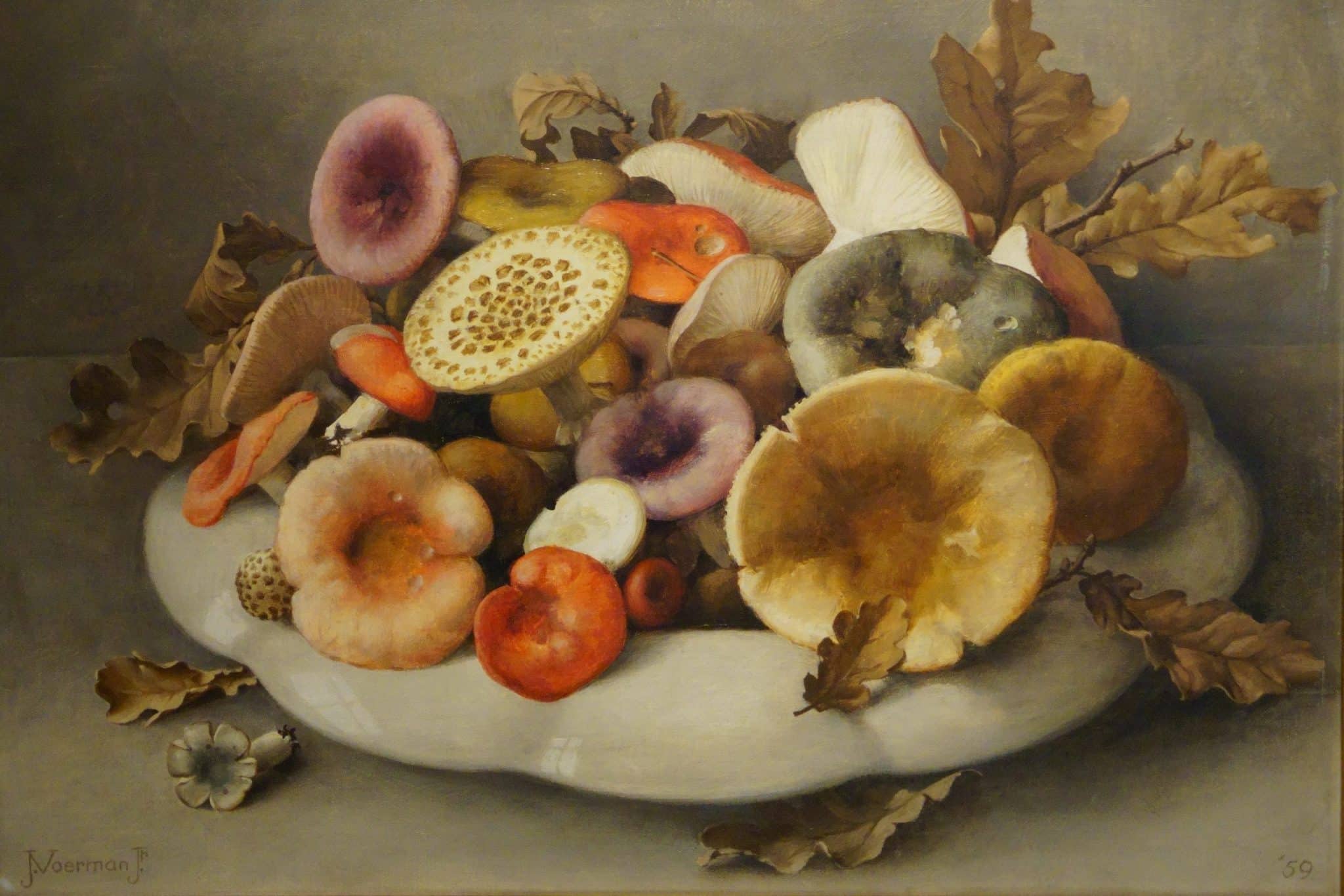 Op zoek naar paddenstoelen tijdens Gelderse excursies