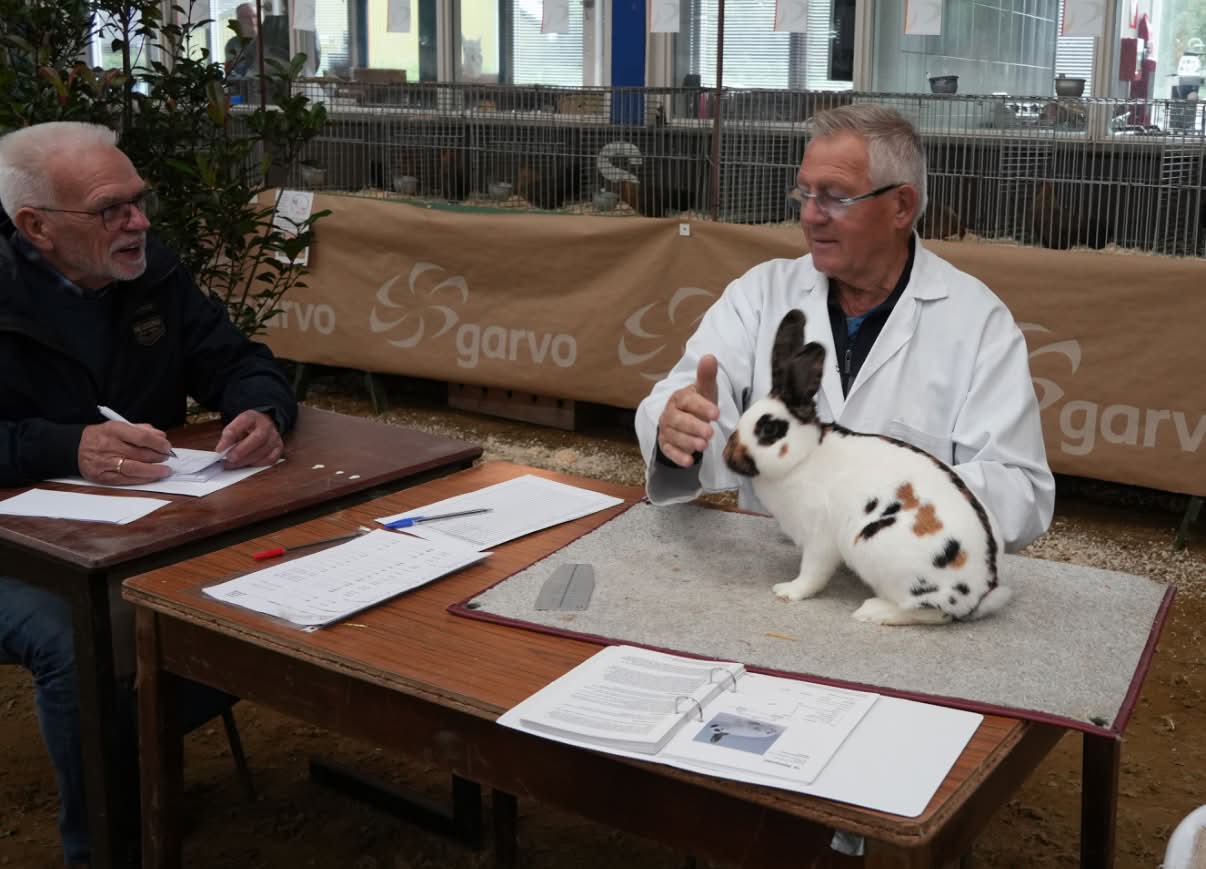 IJsselvliedtshow met 750 dieren open voor publiek
